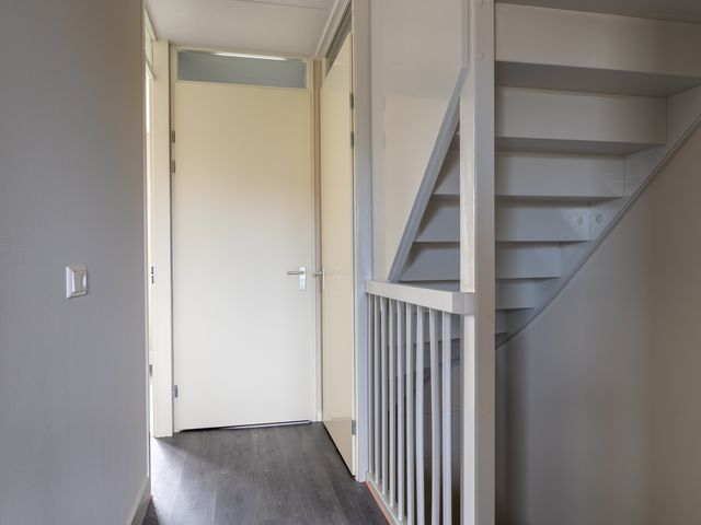 Gulderling 5, Andel