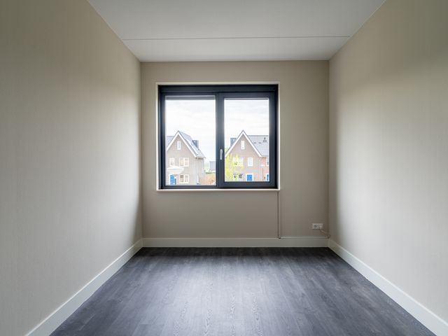 Gulderling 5, Andel
