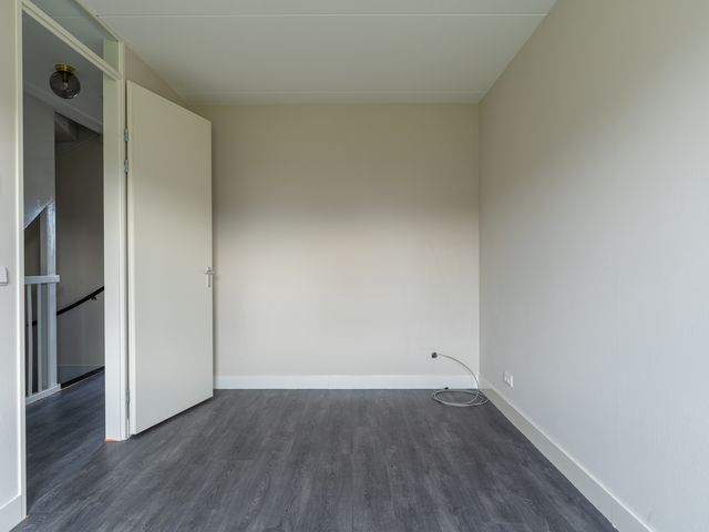 Gulderling 5, Andel
