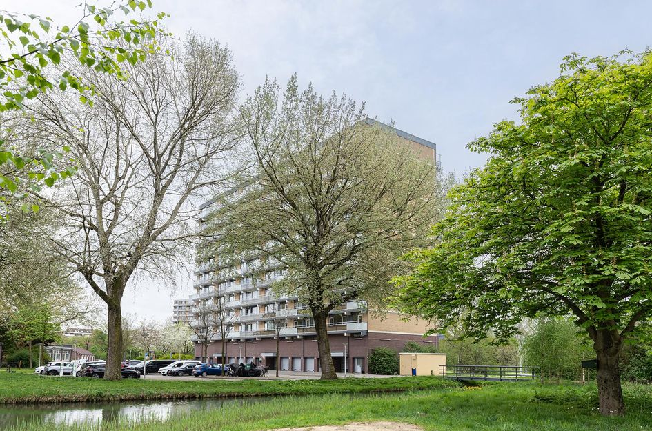 Zernikelaan 378