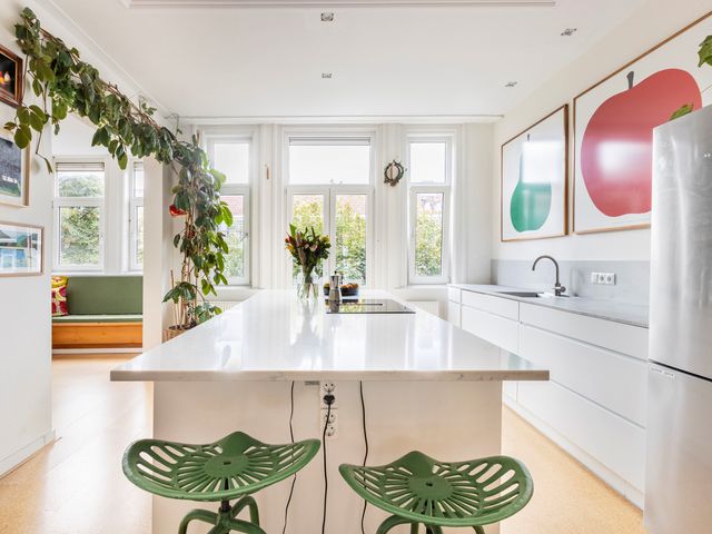 Linnaeusparkweg 114 2, Amsterdam