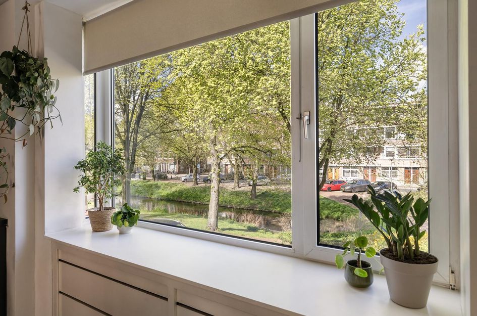 Buys Ballotsingel 29B