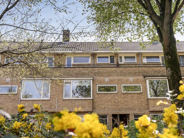 Buys Ballotsingel 29B, Schiedam