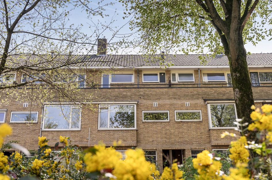 Buys Ballotsingel 29B