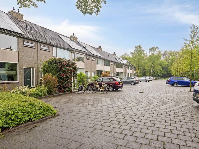 Waver 1, Zwolle