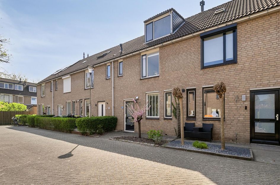 Schouw 36