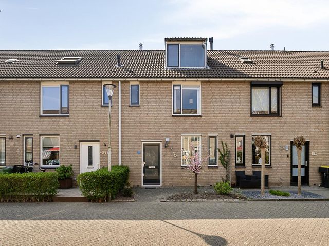 Schouw 36, Oud-Beijerland