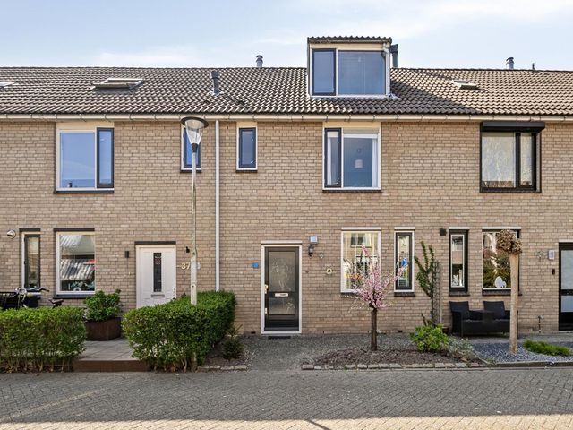 Schouw 36, Oud-Beijerland