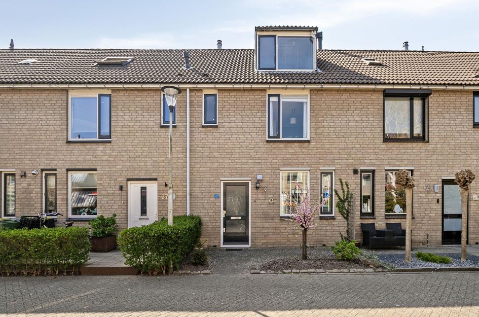 Schouw 36