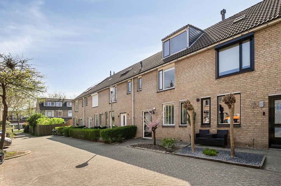 Schouw 36