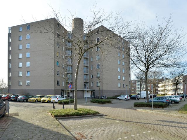 Salviabeemd 39H, Maastricht
