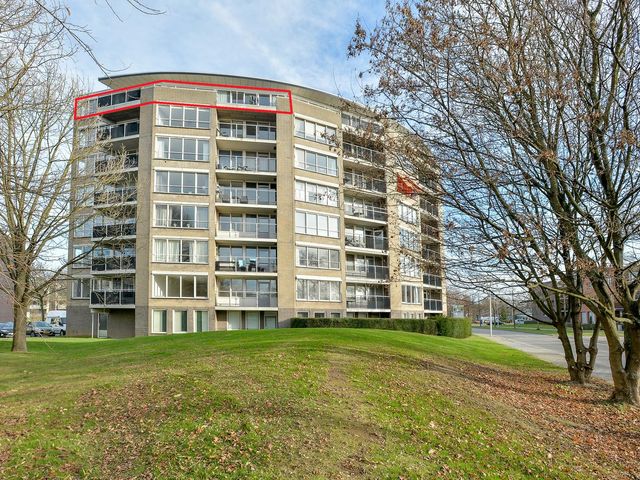 Salviabeemd 39H, Maastricht