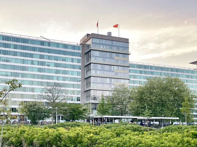 Bos en Lommerplantsoen 25B, Amsterdam