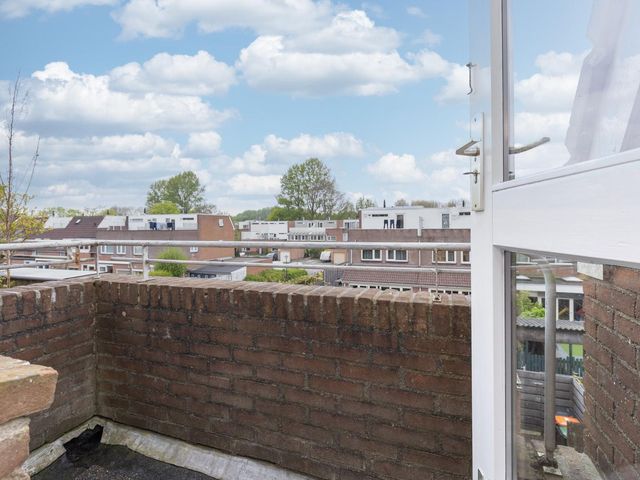 Oliemolen 46, Hoorn