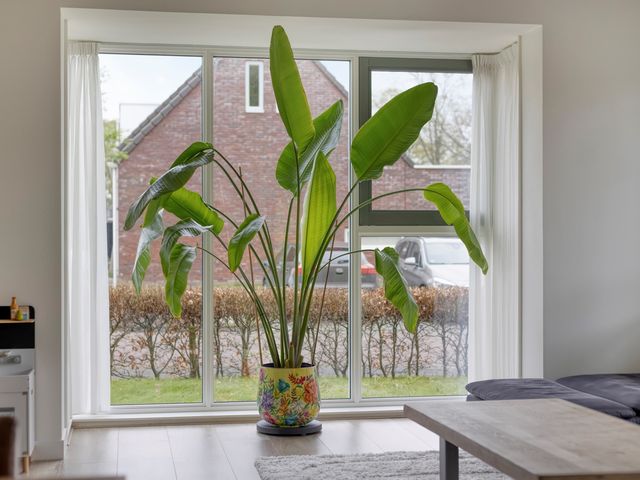 Kluft 20, Borger