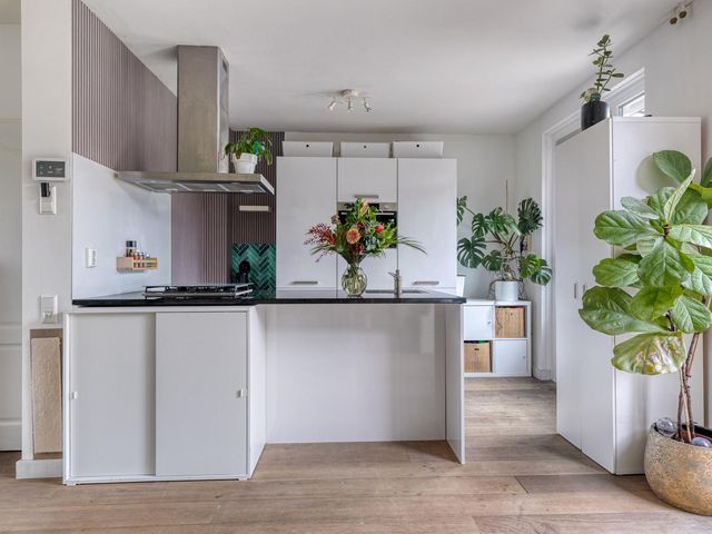 Paukeslag 116, Etten-Leur