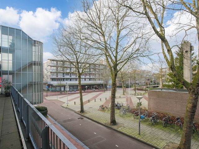 Ruiseveenpad 88, Amsterdam