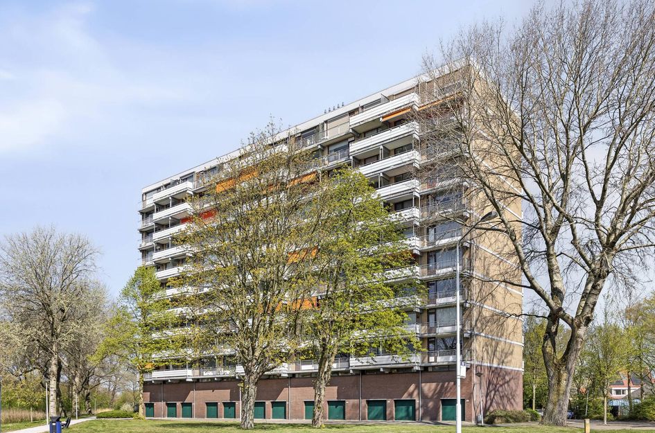 Zernikelaan 746