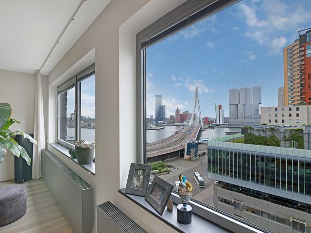 Gedempte Zalmhaven 513, Rotterdam