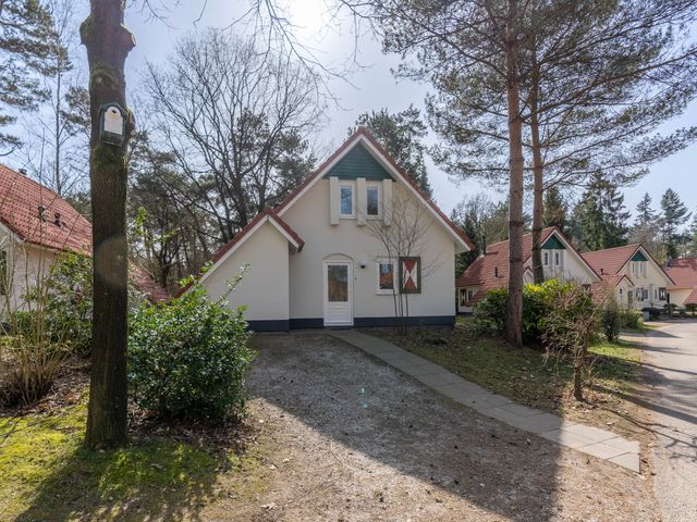 de Vers 217, Overloon