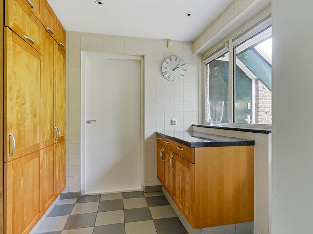 Lijster 24, Maasdam