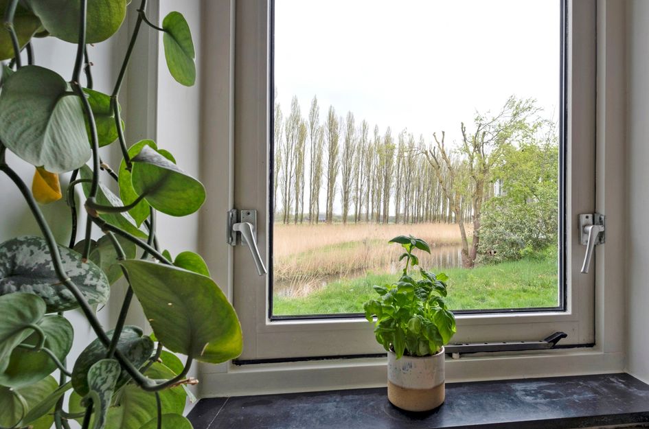 Waterland 164