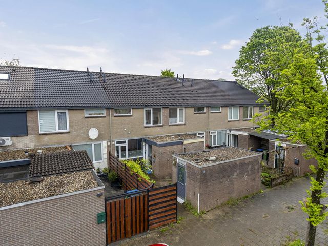 Oudenboschstraat 116, Arnhem