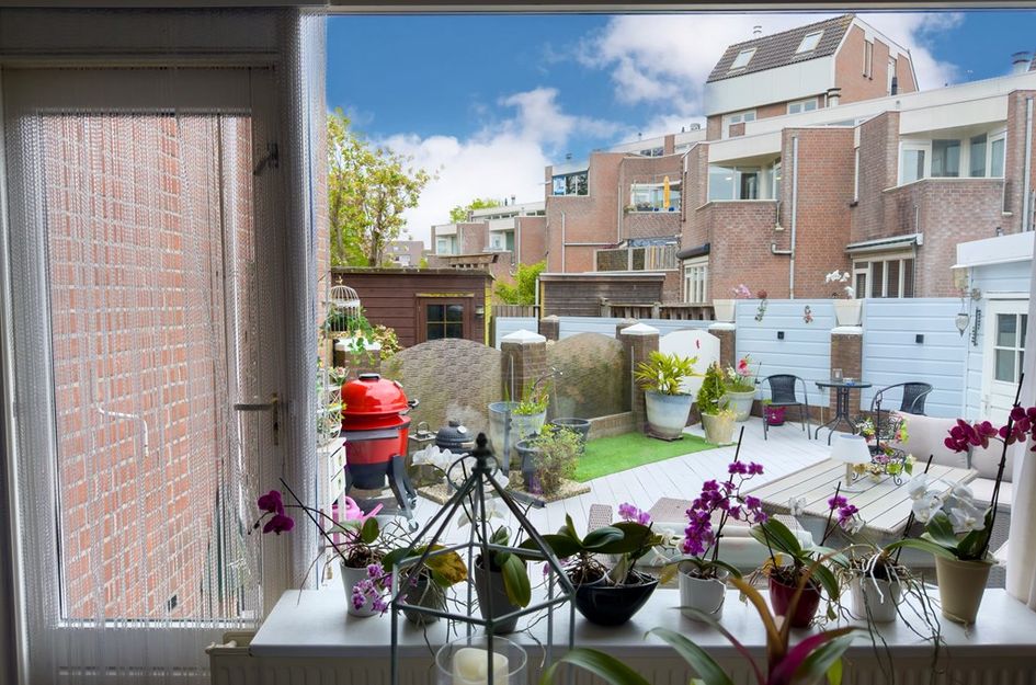 Scheldedal 48