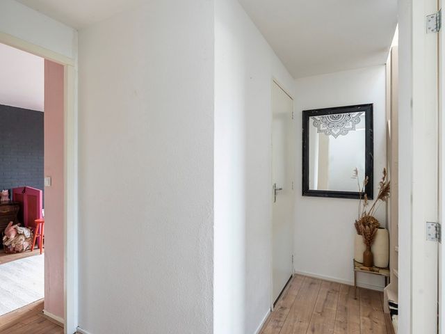 Roekenplaats 14, Leiden