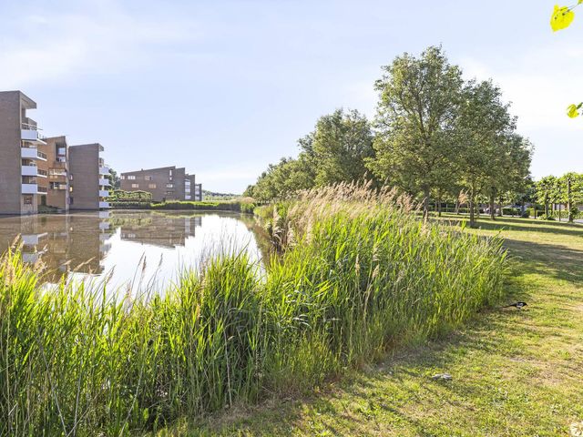 Dokter Herskade 40, Oud-Beijerland