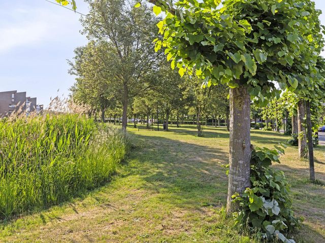 Dokter Herskade 40, Oud-Beijerland