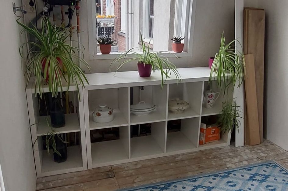 Jasmijnstraat 12