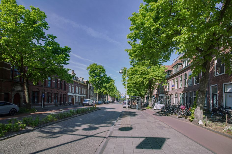 Levendaal 116A