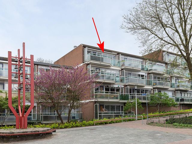 Nedersassen 61, Alblasserdam