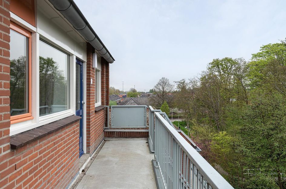 Nedersassen 61
