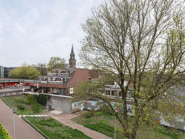 Nedersassen 61, Alblasserdam