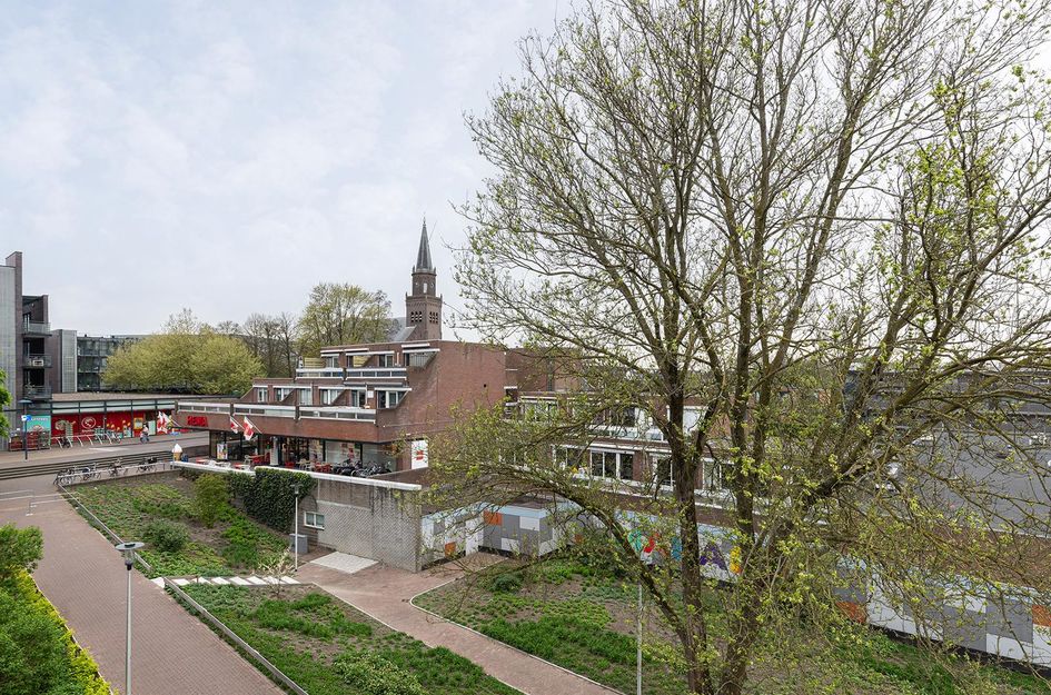 Nedersassen 61