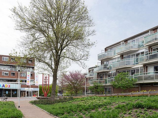 Nedersassen 61, Alblasserdam