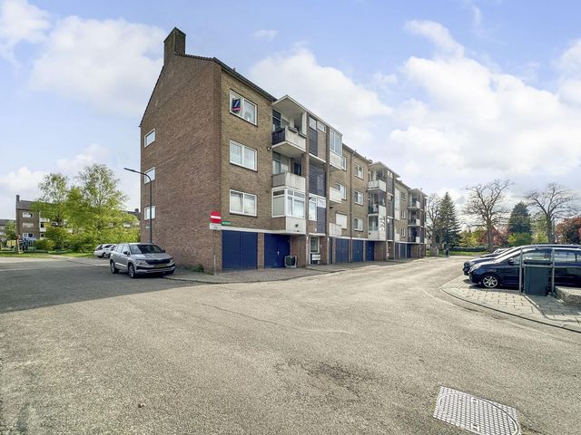 Mezenlaan 113, Dieren