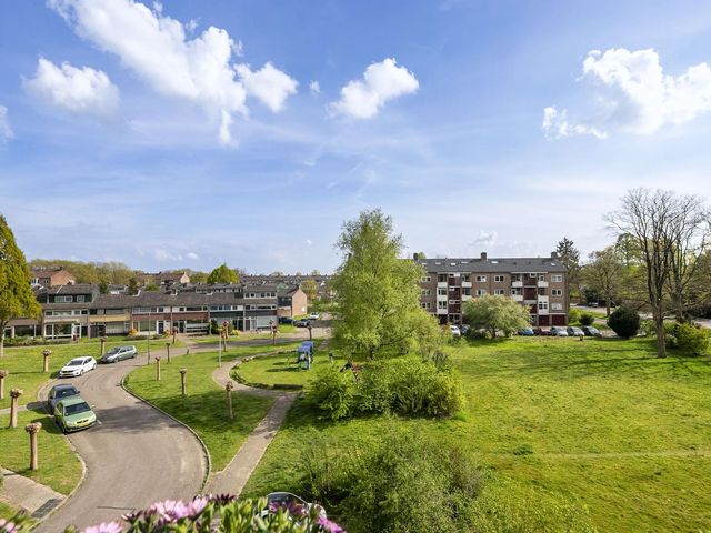 Mezenlaan 113, Dieren