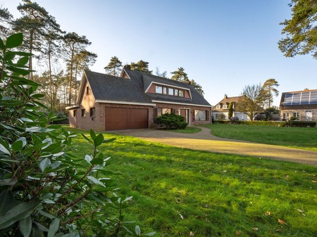 Boskant 39  , Kasterlee