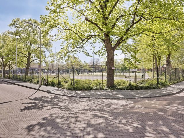 Joris van der Haagenstraat 42, Den Haag