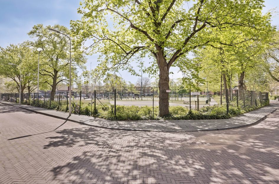 Joris van der Haagenstraat 42