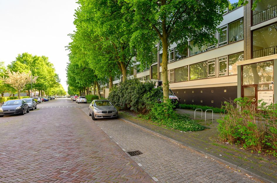 Burgemeester Caan Van Necklaan 287