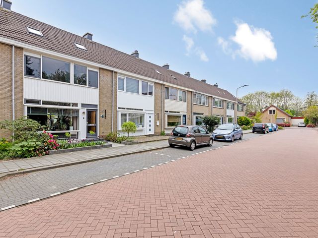 Van Tets van Goudriaanstraat 3, Gorinchem