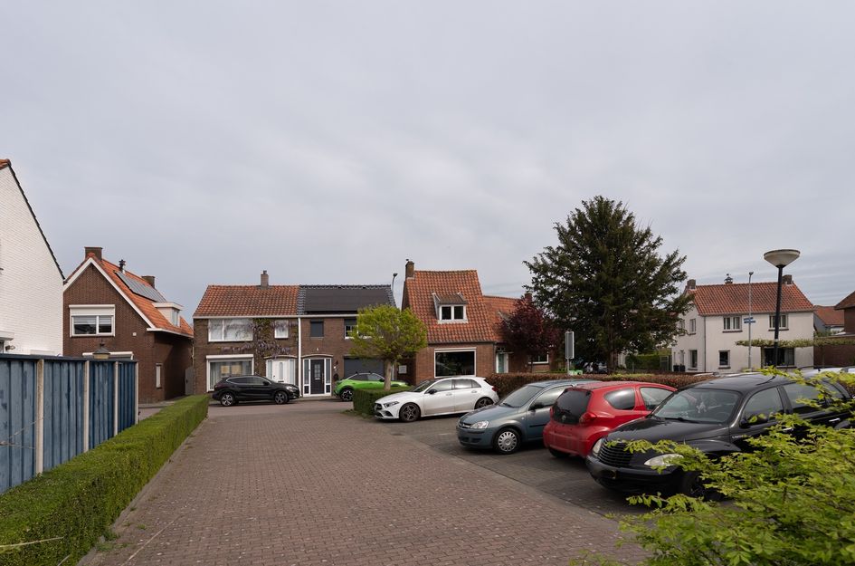 Schotte 8