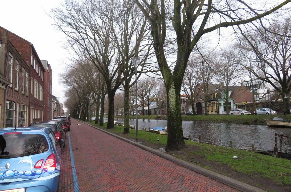 Westgracht 50