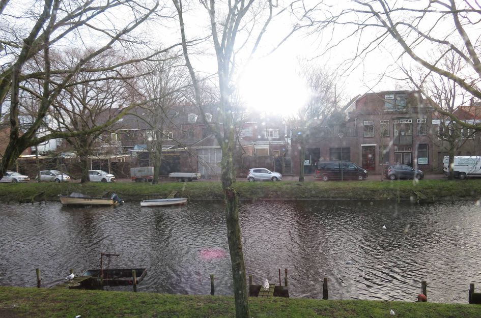 Westgracht 50