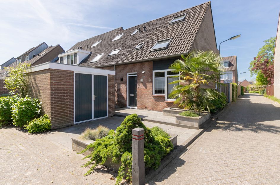 Pijlkruid 35