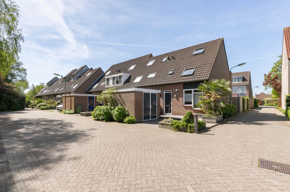 Pijlkruid 35